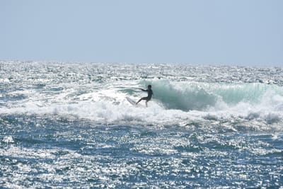 DSC_0298.JPG