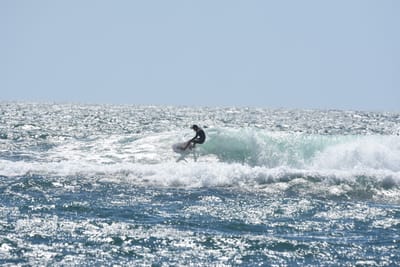 DSC_0300.JPG