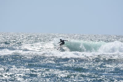 DSC_0301.JPG