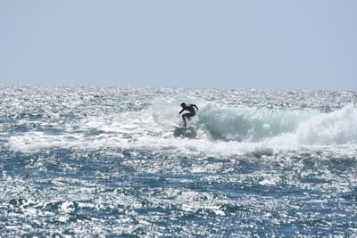 DSC_0302.JPG