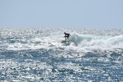 DSC_0303.JPG