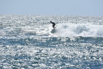 DSC_0304.JPG