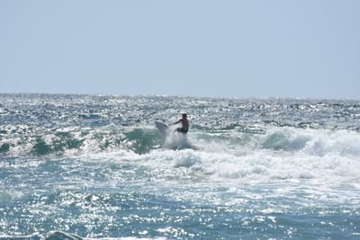 DSC_0316.JPG