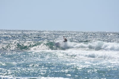 DSC_0317.JPG