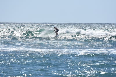 DSC_0324.JPG