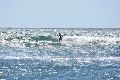DSC_0325.JPG