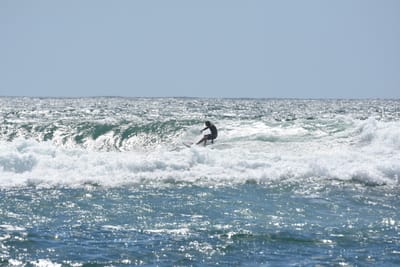 DSC_0341.JPG