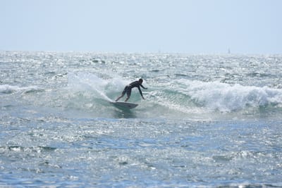 DSC_0360.JPG