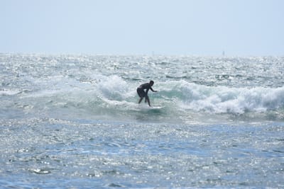 DSC_0362.JPG