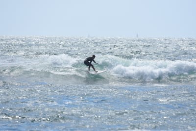 DSC_0363.JPG