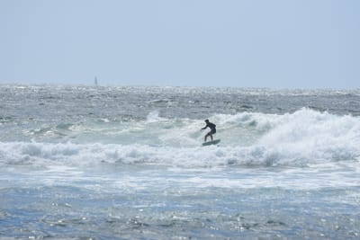 DSC_0366.JPG