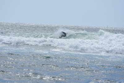 DSC_0369.JPG