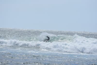 DSC_0370.JPG