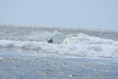 DSC_0372.JPG