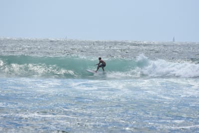 DSC_0390.JPG