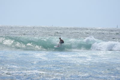DSC_0392.JPG