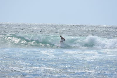 DSC_0393.JPG