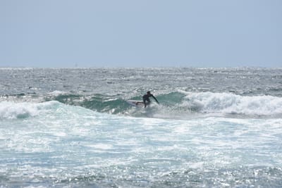 DSC_0397.JPG