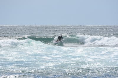 DSC_0398.JPG