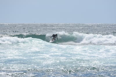 DSC_0399.JPG