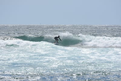 DSC_0400.JPG
