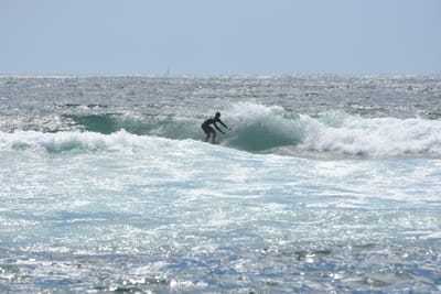 DSC_0401.JPG