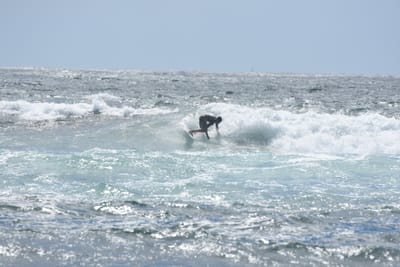 DSC_0402.JPG