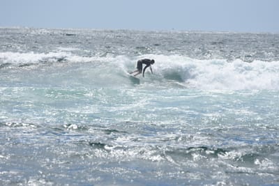DSC_0403.JPG