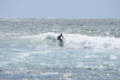 DSC_0406.JPG
