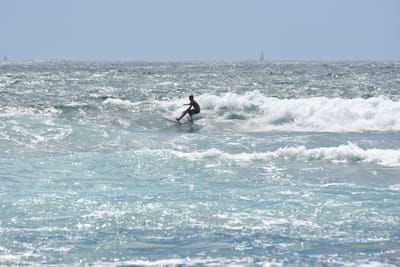 DSC_0409.JPG