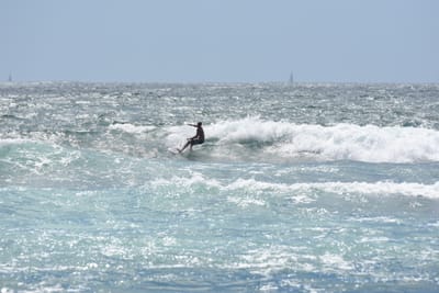 DSC_0410.JPG