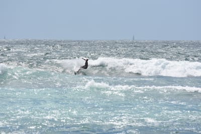 DSC_0411.JPG
