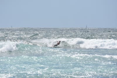DSC_0413.JPG