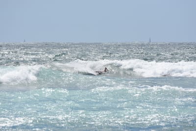 DSC_0414.JPG