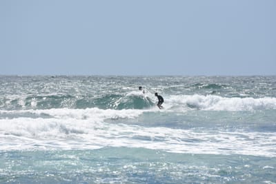 DSC_0415.JPG
