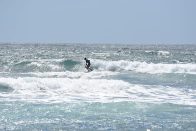 DSC_0417.JPG