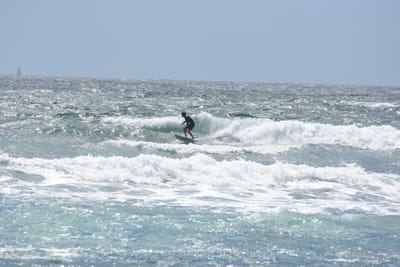 DSC_0418.JPG