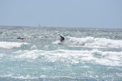DSC_0420.JPG