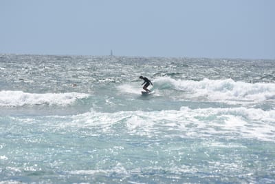 DSC_0422.JPG