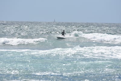DSC_0423.JPG