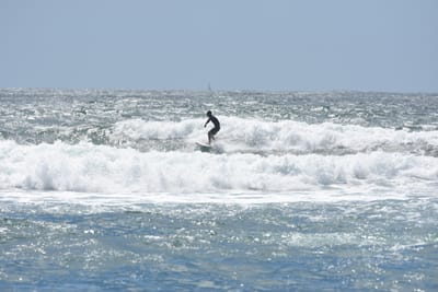 DSC_0426.JPG
