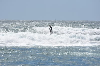 DSC_0427.JPG