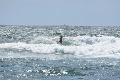 DSC_0458.JPG