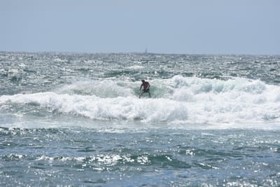 DSC_0459.JPG