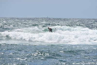 DSC_0460.JPG