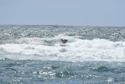 DSC_0461.JPG