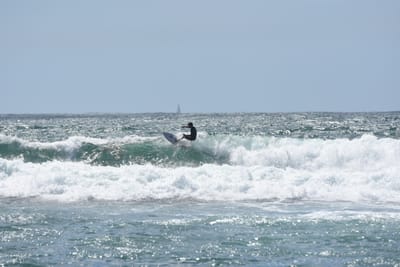DSC_0462.JPG
