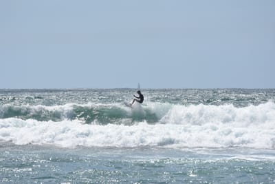 DSC_0463.JPG
