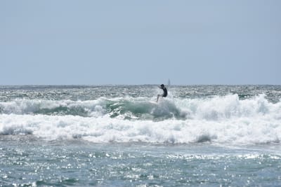 DSC_0464.JPG
