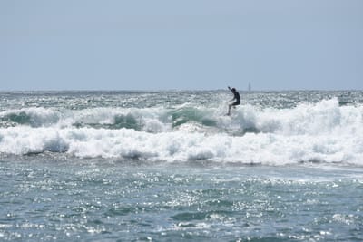 DSC_0465.JPG